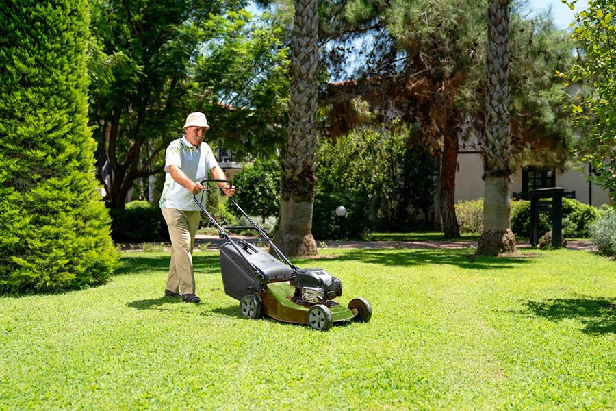 eco electric lawn mower